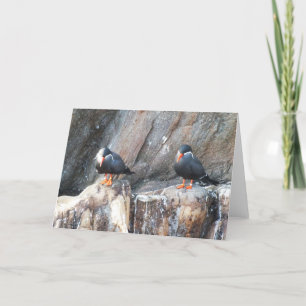 Inca terns holiday card
