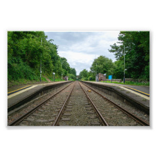 Ince and Elton Railway Station Photo Print