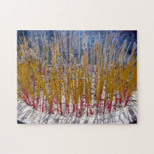 Incense in a temple - Zhongdian, Yunnan, China Jigsaw Puzzle