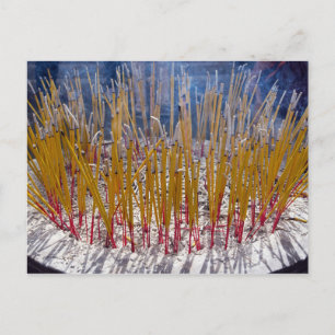 Incense in a temple - Zhongdian, Yunnan, China Postcard