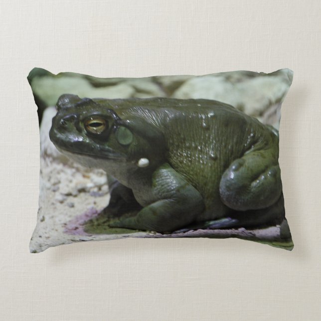 Incilius alvarius accent pillow (Front)