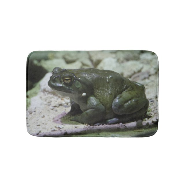 Incilius alvarius bath mat (Front)