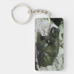 Incilius alvarius keychain