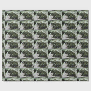 Incilius alvarius wrapping paper