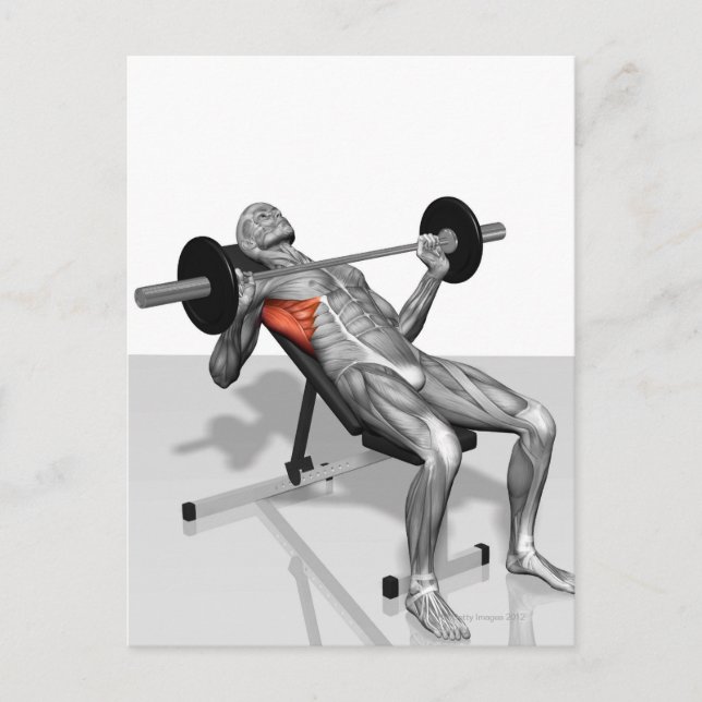 Incline Bench Press 2 Postcard (Front)
