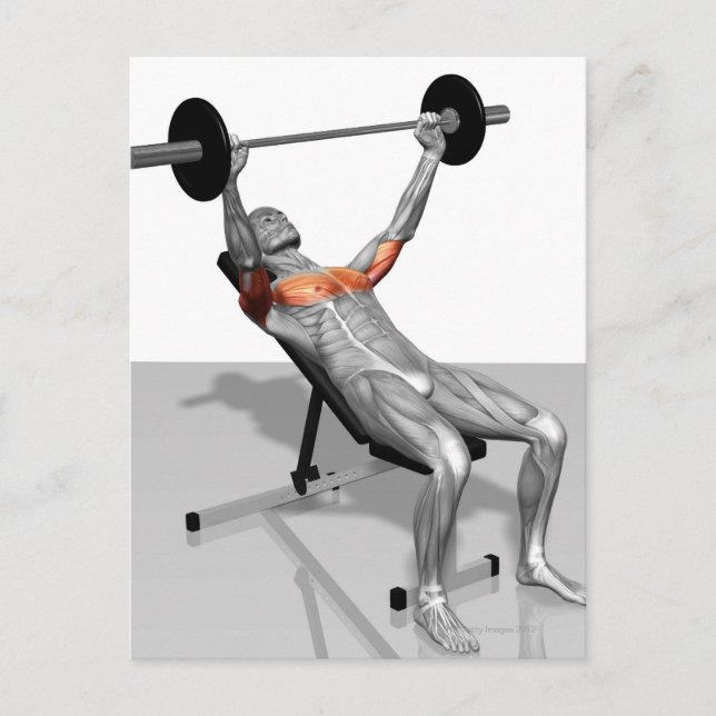 Incline Bench Press Postcard (Front)