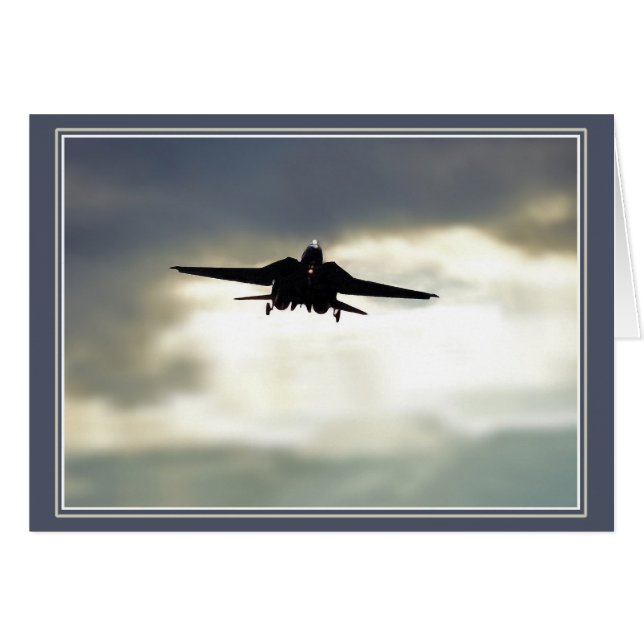 Incoming War Bird (Front Horizontal)