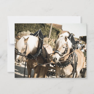 INCREASE IN HAIRCASE POSTCARD