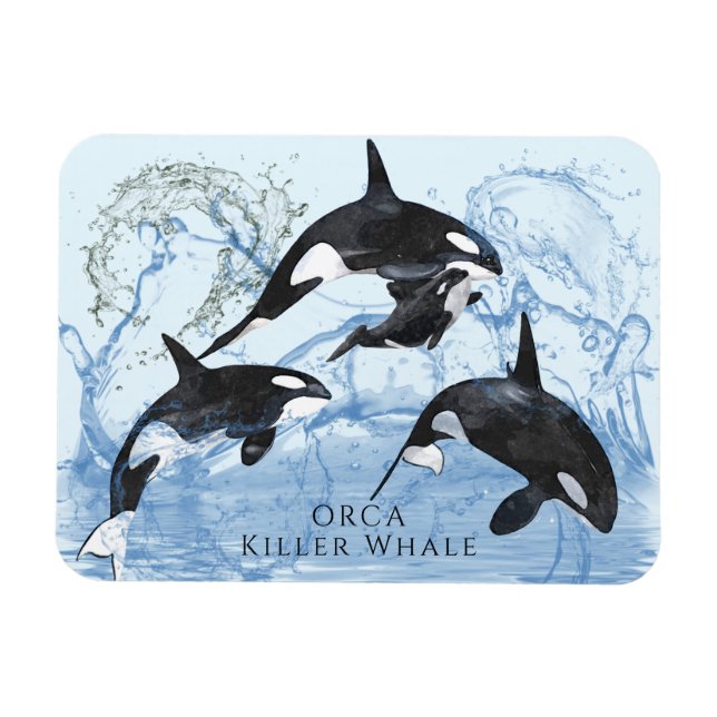 Incredible Black and White Watercolor Orcas Magnet (Horizontal)