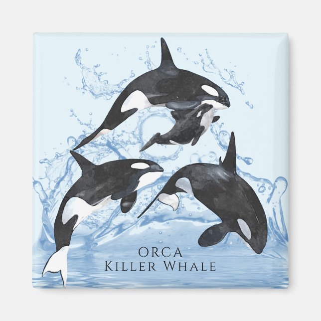 Incredible Black and White Watercolor Orcas Magnet (Front)