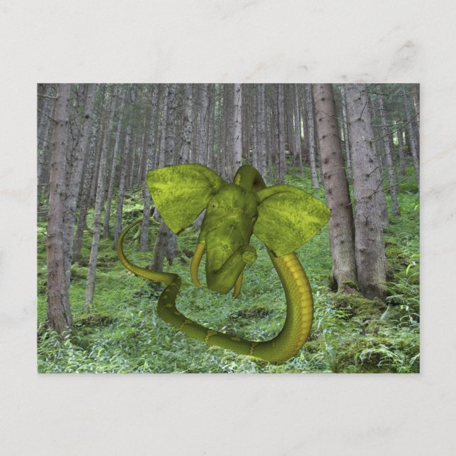 Incredible Elephant Python Postcard (Front)
