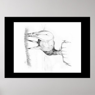 Indecision ~ Elk Poster