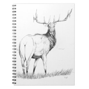 Indecision Notebook
