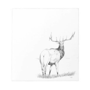Indecision Notepad