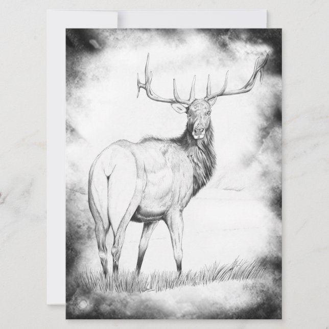 Indecision with Border (Front)