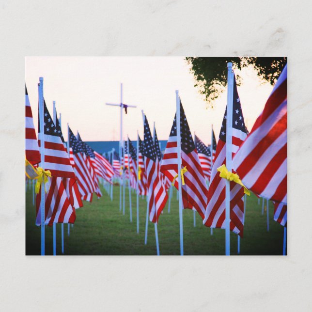 Independence Day/4th July  Postcard (Front)