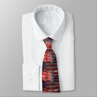 Independence Day 4th of July Fireworks Tie