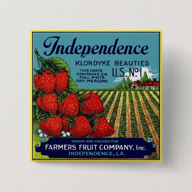 Independence Klondyke Beauties Strawberries 2 Inch Square Button (Front)