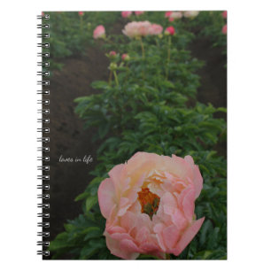 Independent Pink Peony Notebook