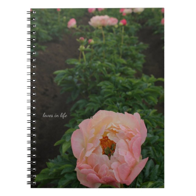 Independent Pink Peony Notebook (Front)