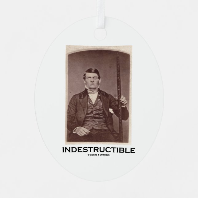 Indestructible Phineas Gauge Cerebral Localization Metal Ornament (Front)