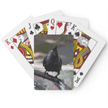 Index standard des cartes à jouer aux oiseaux