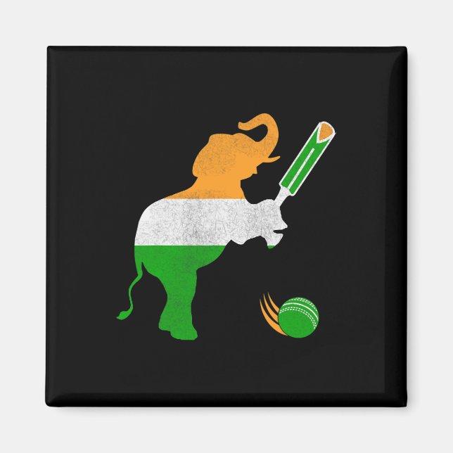 India Cricket 1  Magnet (Front)