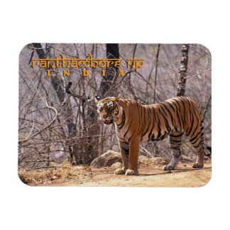 India Magnet