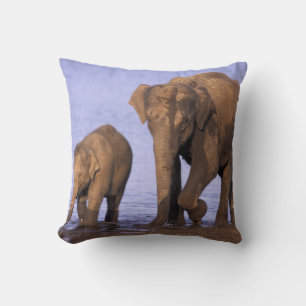 India, Nagarhole National Park. Asian elephant Throw Pillow