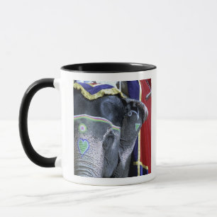 India, Rajasthan, Jaipur. Amber Fort. Mug
