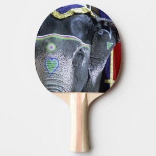 India, Rajasthan, Jaipur. Amber Fort. Ping Pong Paddle