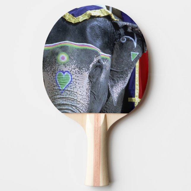 India, Rajasthan, Jaipur. Amber Fort. Ping Pong Paddle (Front)