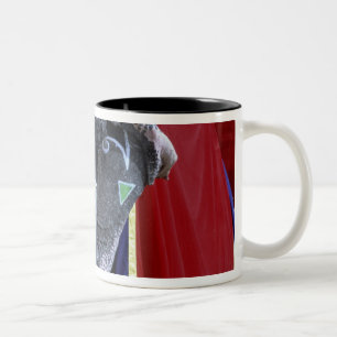 India, Rajasthan, Jaipur. Amber Fort. Two-Tone Coffee Mug