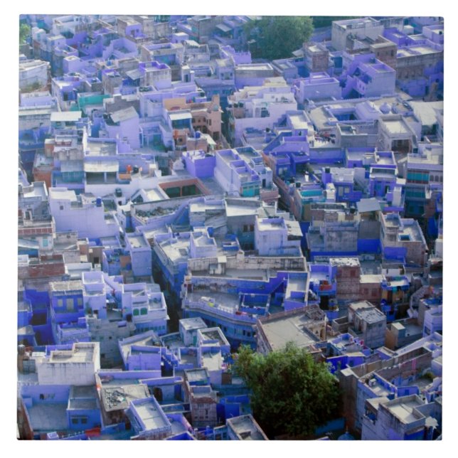 INDIA, Rajasthan, Jodhpur: Blue City of Jodhpur Tile (Front)