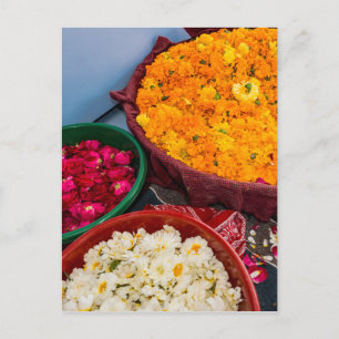 India, Rajasthan, Pipar Postcard