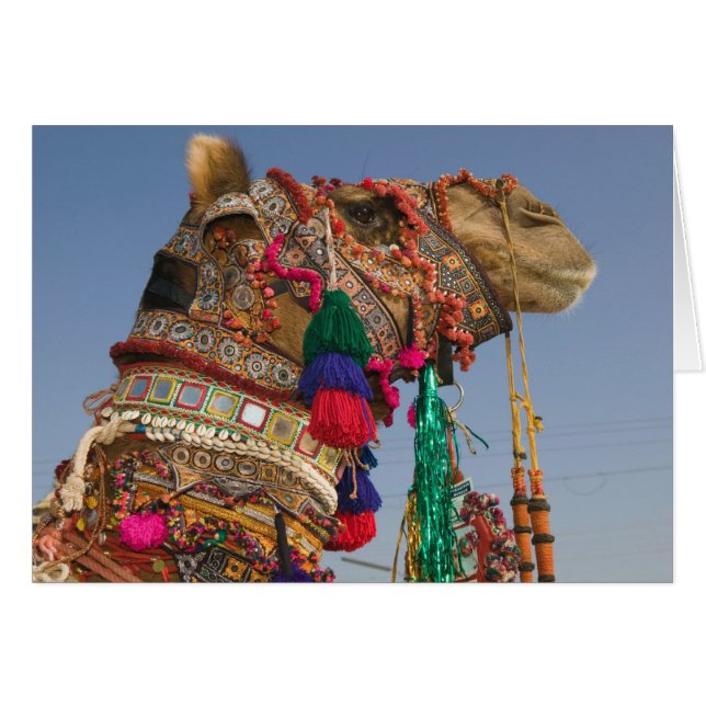 INDIA, Rajasthan, Pushkar: PUSHKAR CAMEL FAIR, (Front Horizontal)