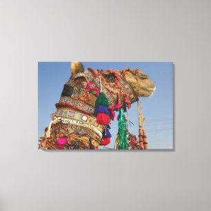 INDIA, Rajasthan, Pushkar: PUSHKAR CAMEL FAIR, Canvas Print