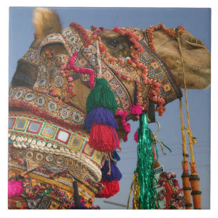 INDIA, Rajasthan, Pushkar: PUSHKAR CAMEL FAIR, Tile