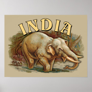 India Wildlife - Indian Elephant Poster