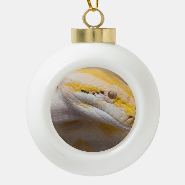 Indian Albino Python Ho Chi Minh City Zoo, Vietnam Ceramic Ball Christmas Ornament (Front)