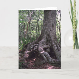 Indian Artifact Custom Louisiana Greeting Card