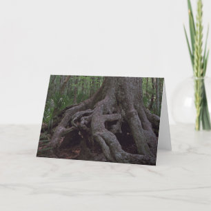 Indian Artifact Custom Louisiana Greeting Cards