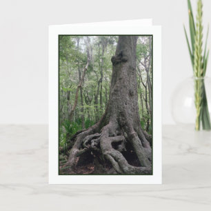 Indian Artifact Greeting Card
