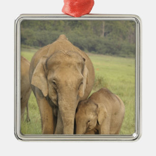 Indian / Asian Elephant and young one,Corbett Metal Ornament