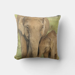 Indian / Asian Elephant and young one,Corbett Throw Pillow