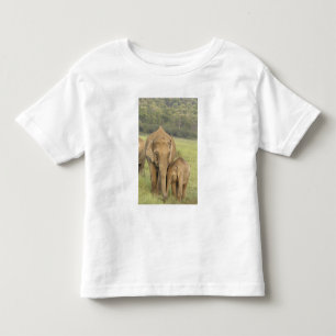 Indian / Asian Elephant and young one,Corbett Toddler T-shirt