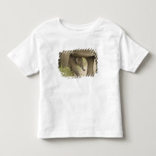 Indian / Asian Elephant and young one,Corbett Toddler T-shirt
