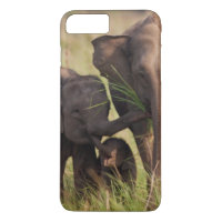 Indian Asian Elephant Family in the Savannah