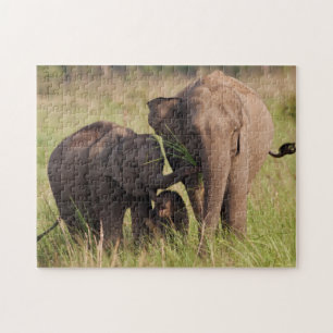 Indian Asian Elephant Family in the Savannah Jigsaw Puzzle