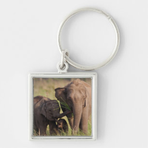 Indian Asian Elephant Family in the Savannah Keychain